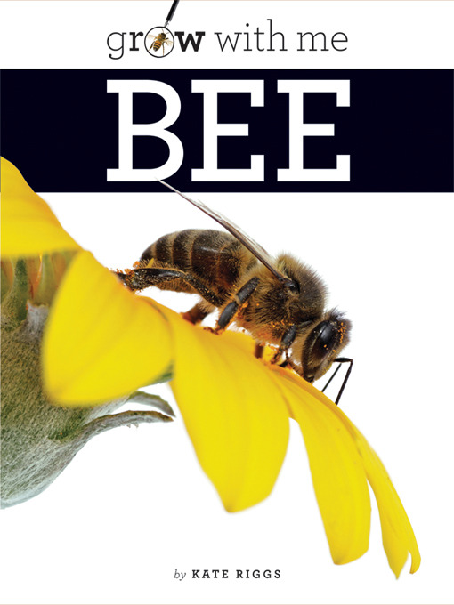 Title details for Bee by Kate Riggs - Available